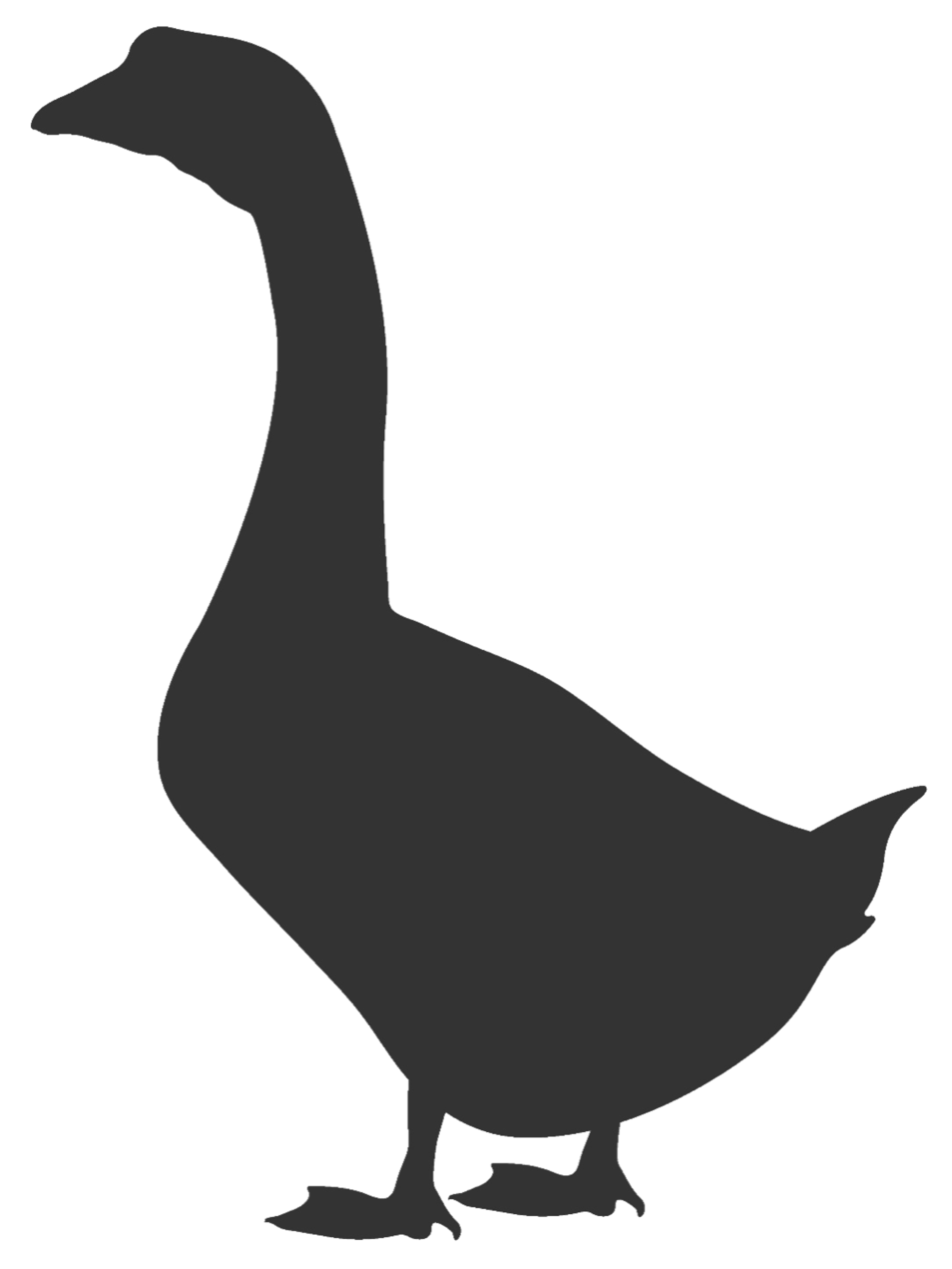 Moody Goose